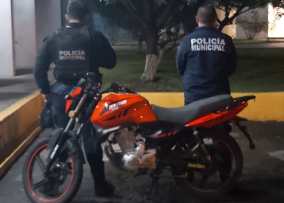 En distintos hechos, SSP asegura 11 vehículos; nueve cuentan con reporte de robo