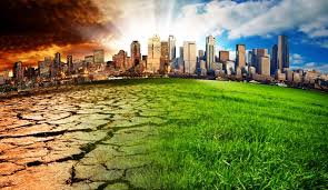 UNA GOTITA DE ECOLOGÍA