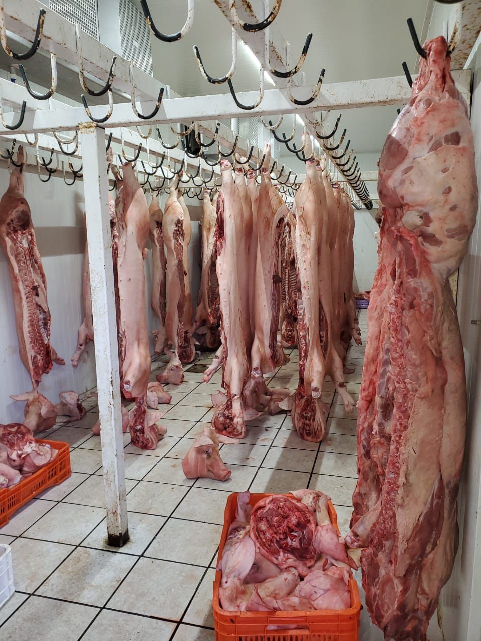 Clausura Gobierno Municipal negocio de venta de carne por violar normas sanitarias