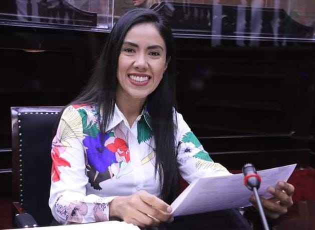 México debe continuar la apuesta por inversión pública al sector salud: Fanny Arreola