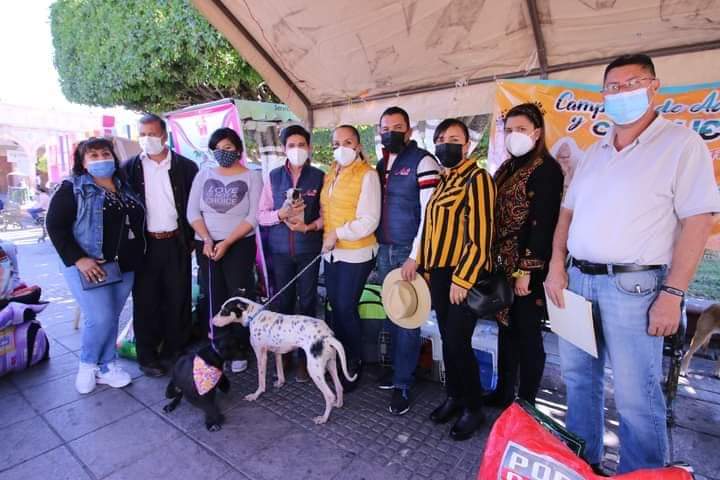 A hacer equipo por la protección de los animales convoca Julieta Gallarda