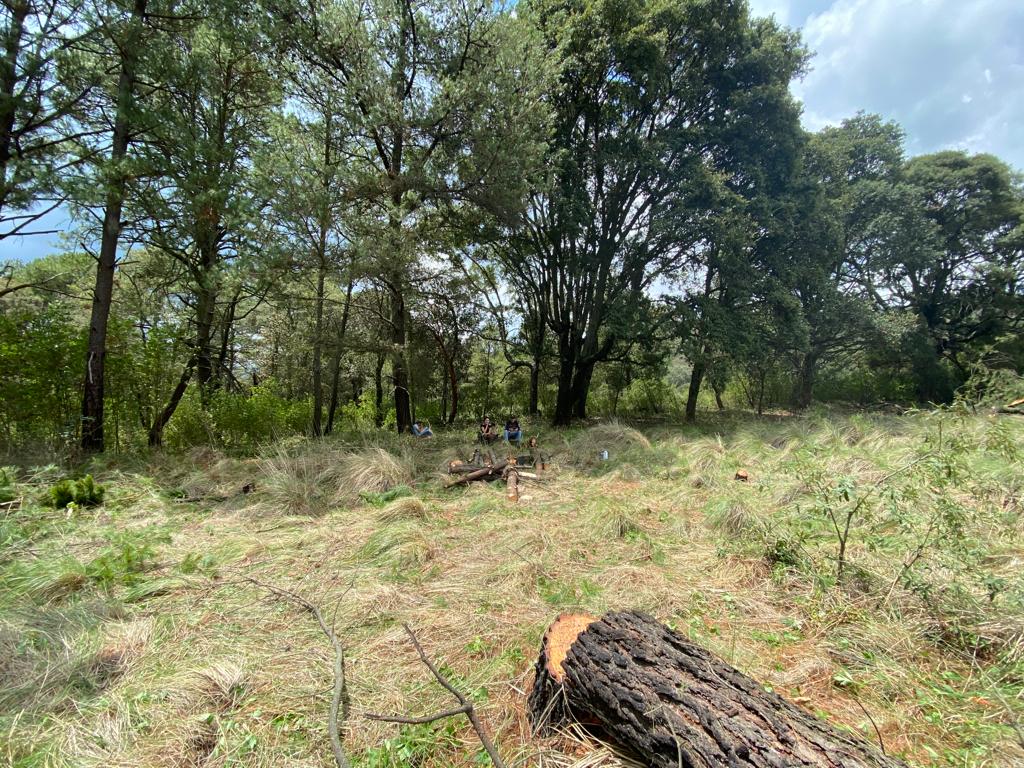 POR UN DELITO COMETIDO CONTRA EL MEDIO AMBIENTE FGR INTEGRA INVESTIGACIÓN EN MICHOACÁN