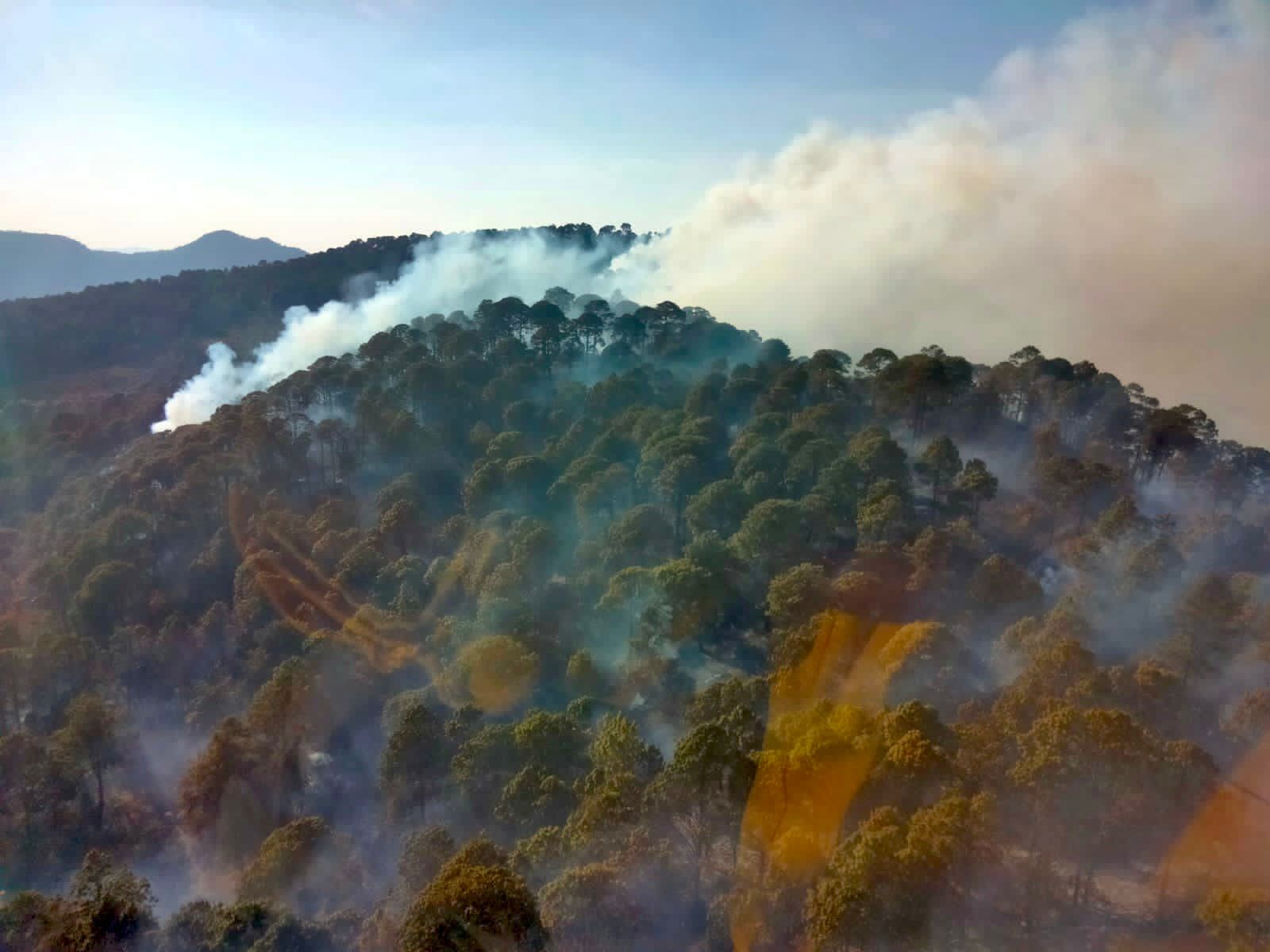 Gobierno de Michoacán despliega helicóptero para sofocar incendio en Cotija