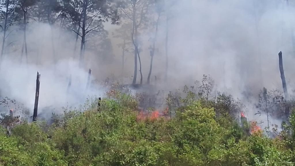 División Ambiental de la SSP trabaja para apagar el incendio en el Cerro de la Cruz