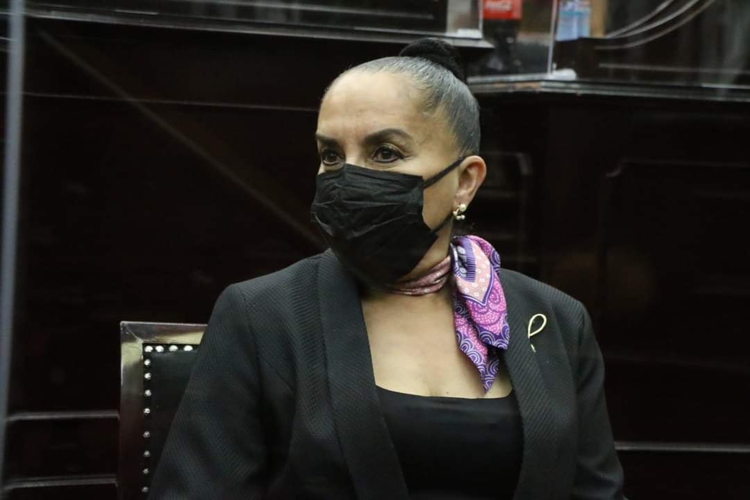 Apremiante hacer efectivas medidas de protección al medio ambiente: Julieta Gallardo