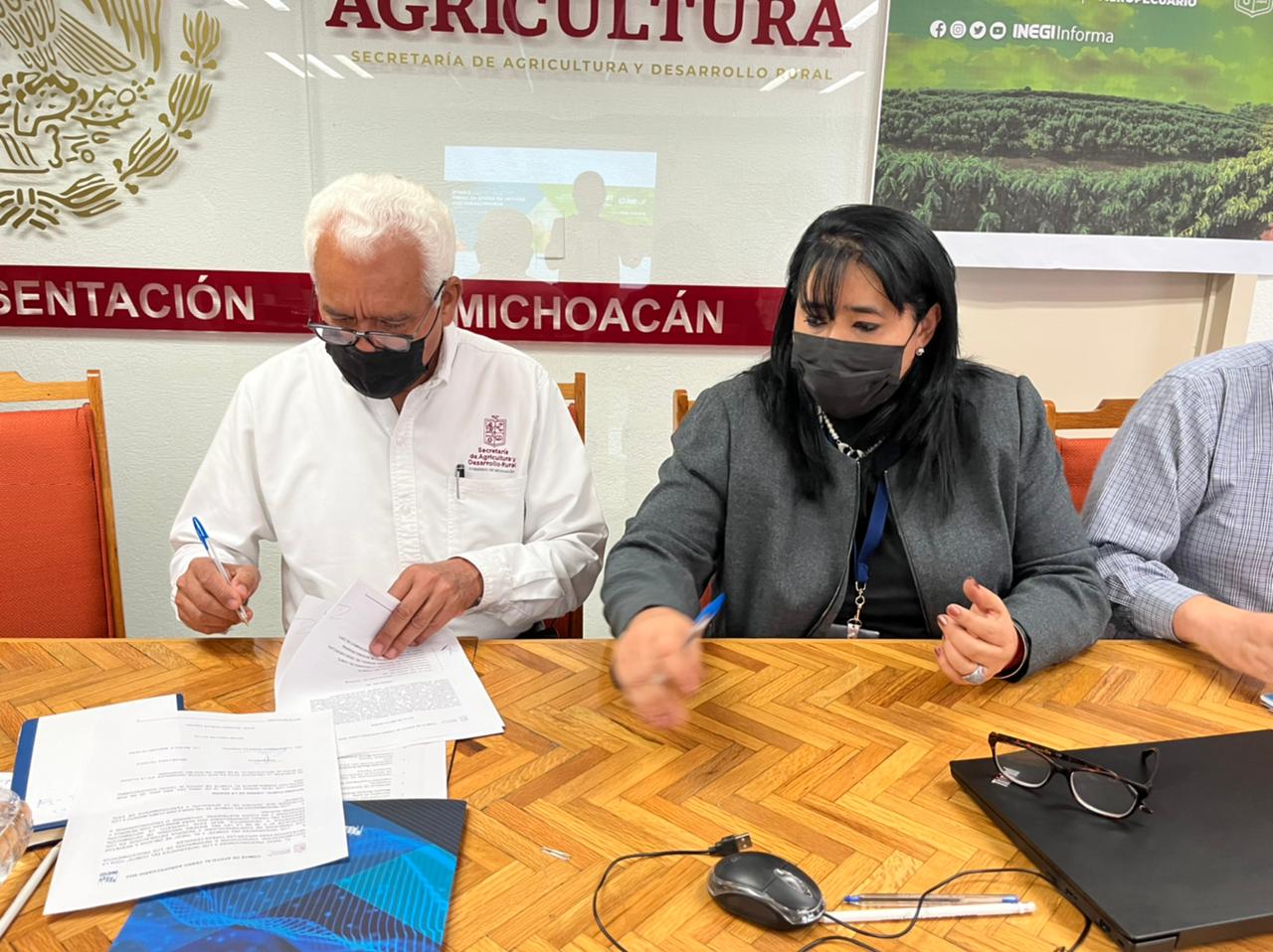 Iniciará Censo Agropecuario 2022 en Michoacán: SADER.