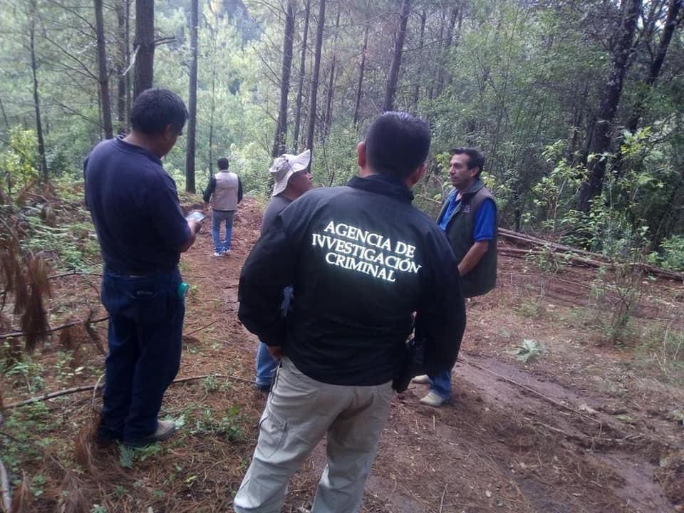 POR UN DELITO CONTRA EL MEDIO AMBIENTE FGR INTEGRA INVESTIGACIÓN EN ZIRACUARETIRO, MICHOACÁN