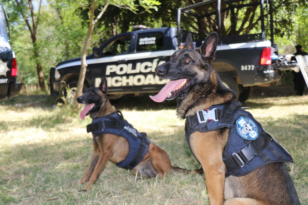 Protección, búsqueda y rescate, principal labor del Agrupamiento Canino