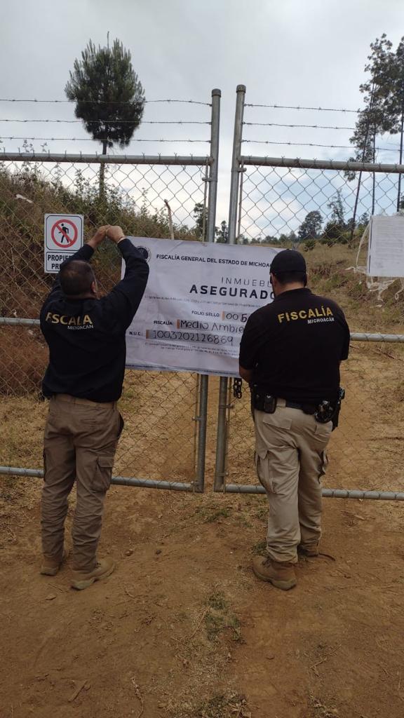 En cateo, asegura Fiscalía General predio relacionado en delitos Contra el Ambiente.