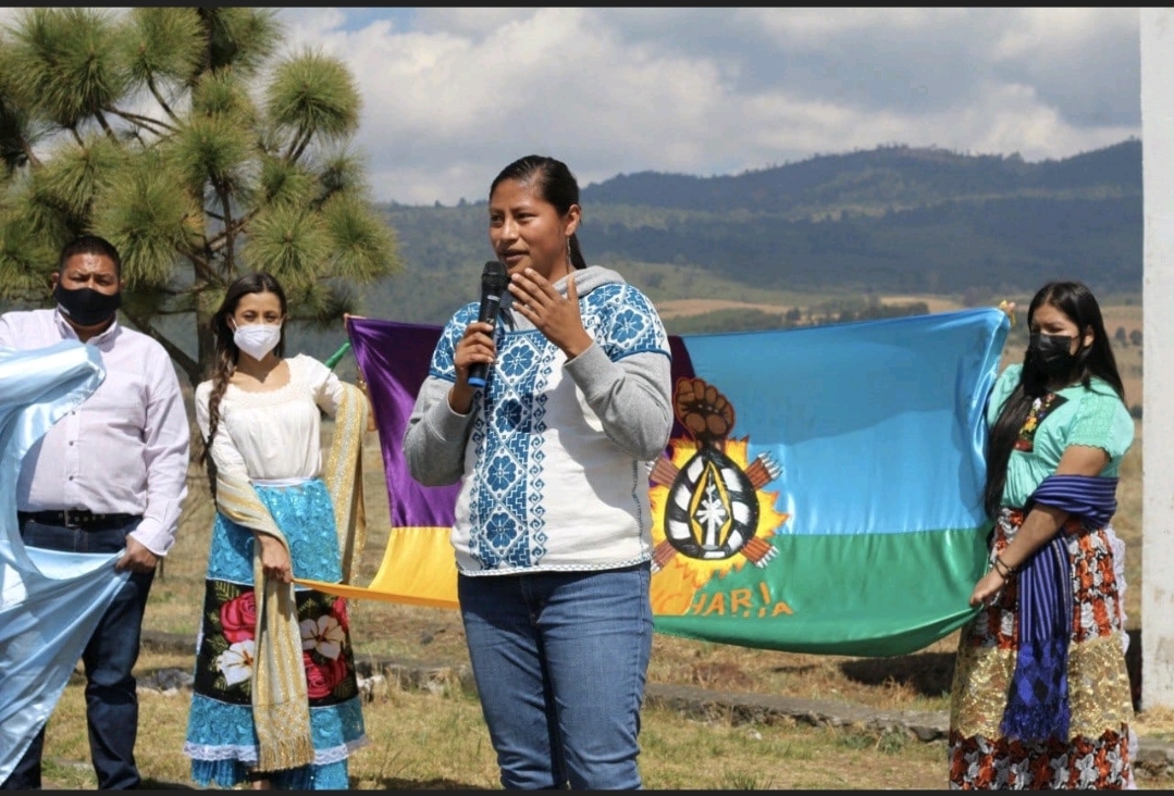 Ayuntamientos deben respetar autonomía conquistada por pueblos indígenas: Celeste Ascencio