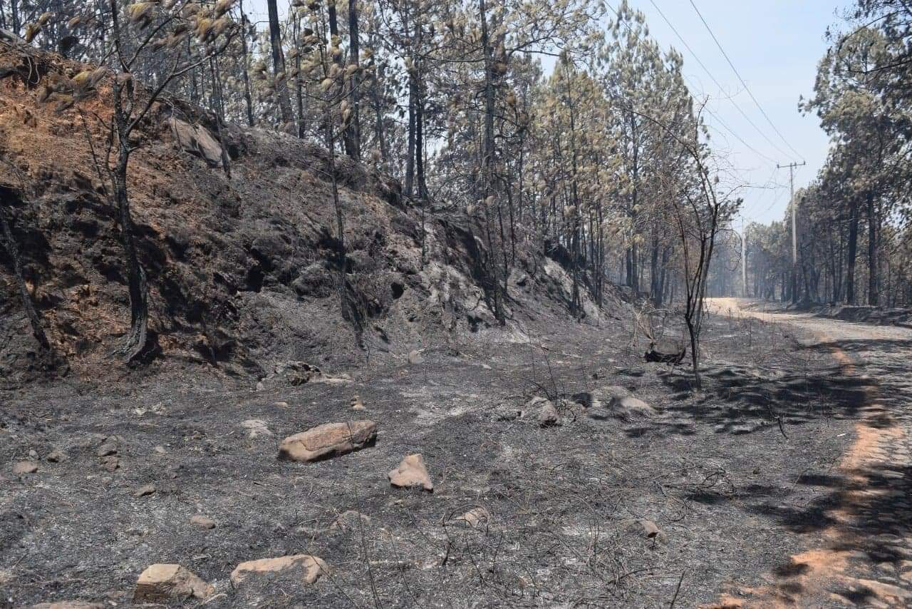 Un brigadistas voluntario perdió la vida al quedar atrapado mientras combatía en un incendio forestal