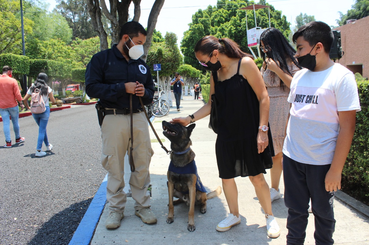 Presentes, binomios de la Unidad Canina (K9) de la Fiscalía General en el Festival Michoacán de Origen