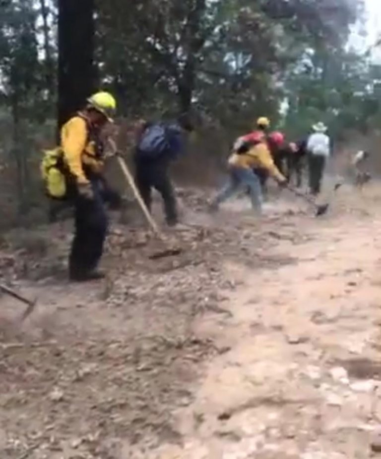 Arriesgando su vida Brigadistas Forestales y Voluntarios combaten el fuego cerca del Cerro del Fraile