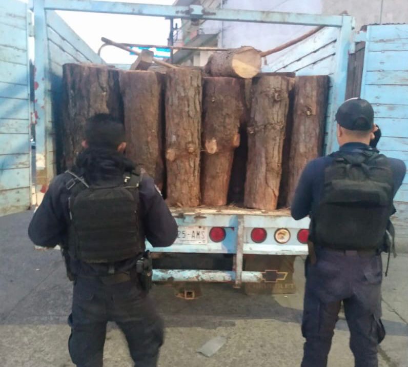 Policía de Michoacán en un operativo lograron asegurar un total de 55 rollos de madera