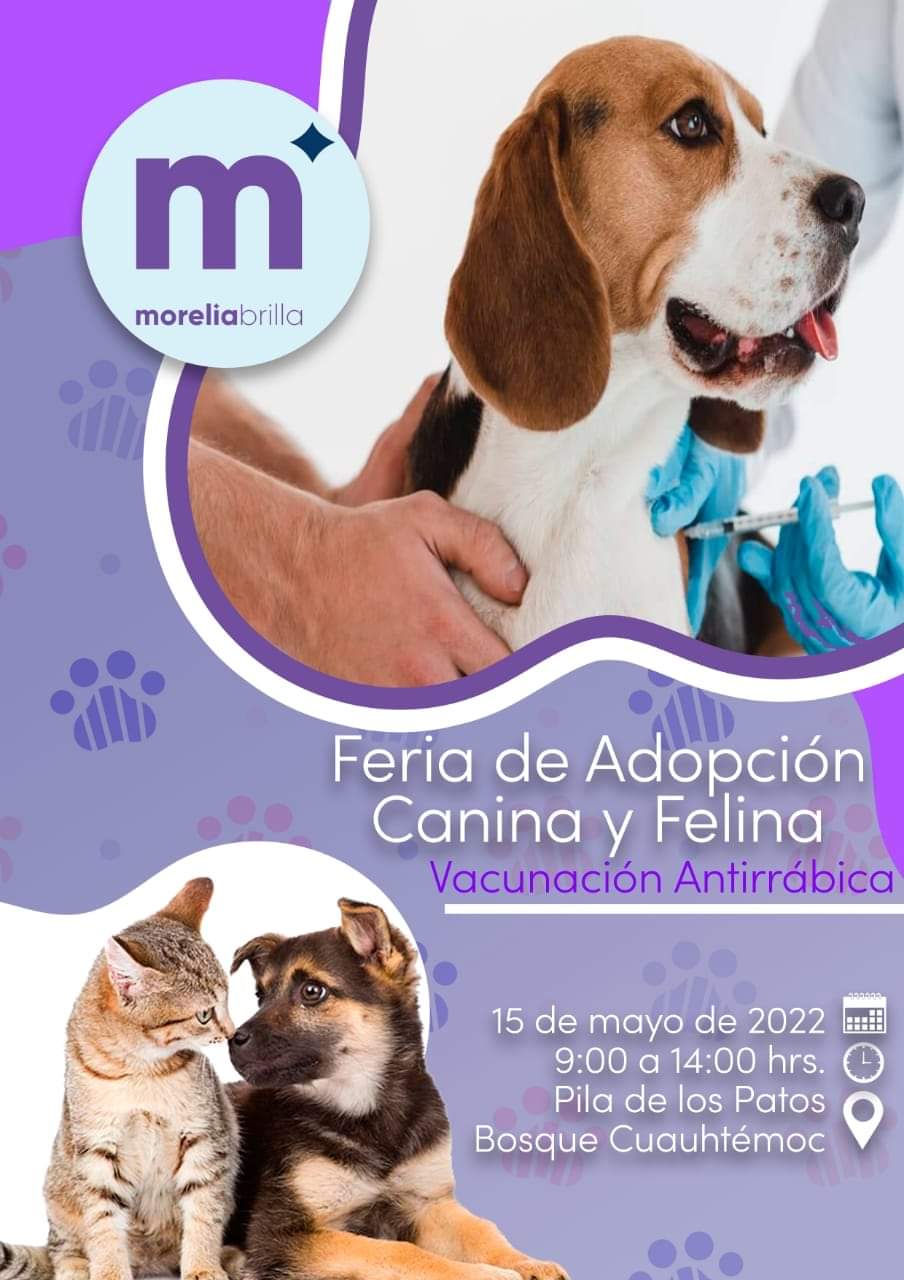 Ayuntamiento de Morelia invita a jornada de adopción canina y felina en el Bosque Cuauhtémoc