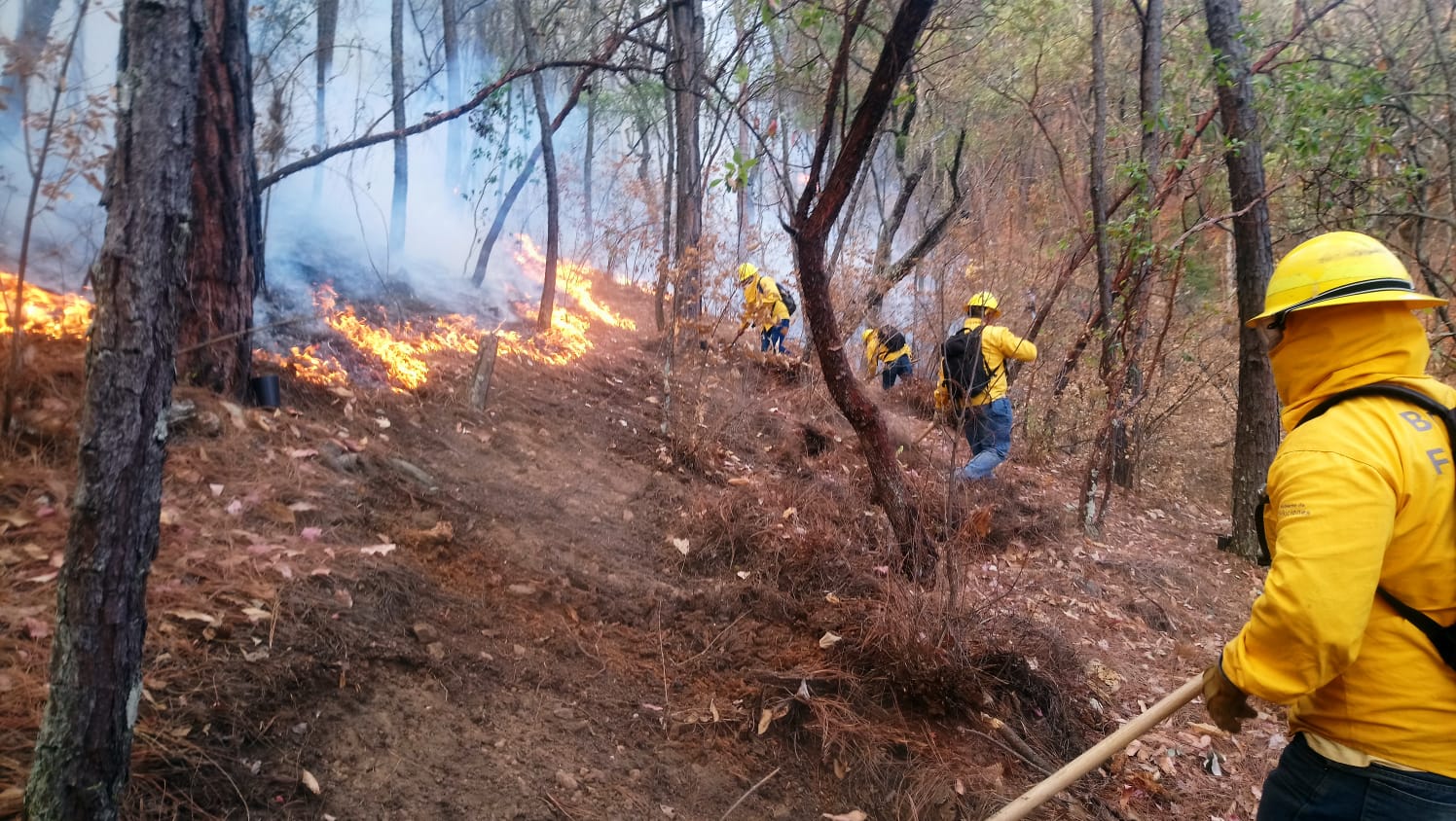 Atienden Brigadas 10 incendios forestales en Zitácuaro