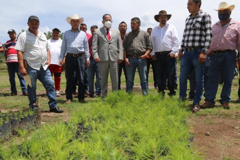 José Luis Téllez realizó la entrega simbólica de un millón de plantas en beneficio de los silvicultores del municipio