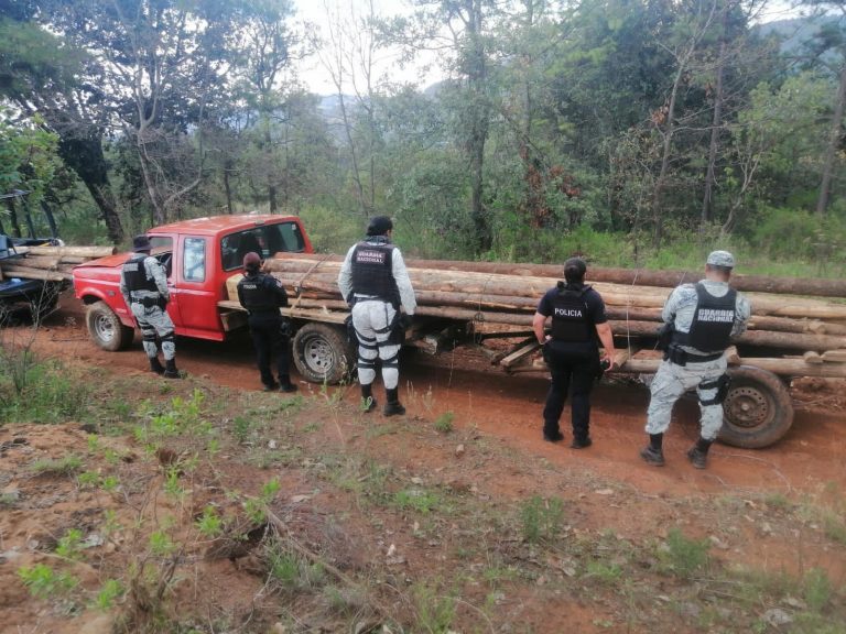 SSP asegura vehículo cargado con madera presuntamente de tala ilegal, en Senguio