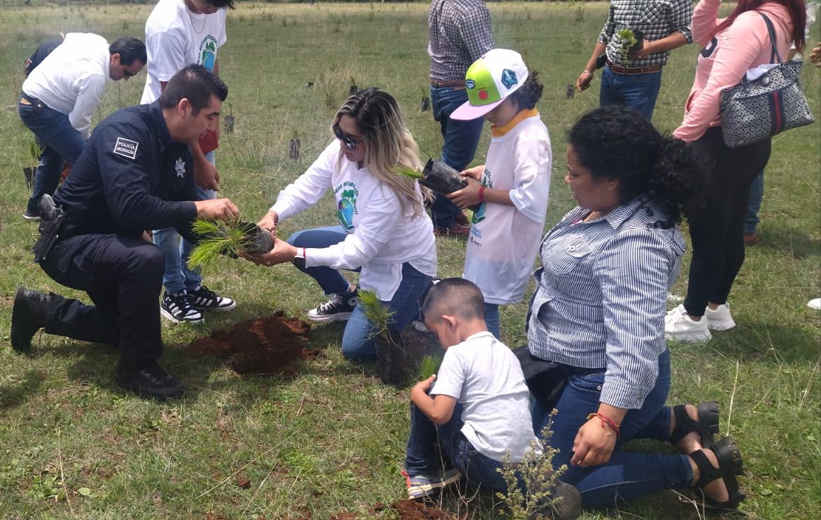 SSP participa en jornada de reforestación del Oriente michoacano