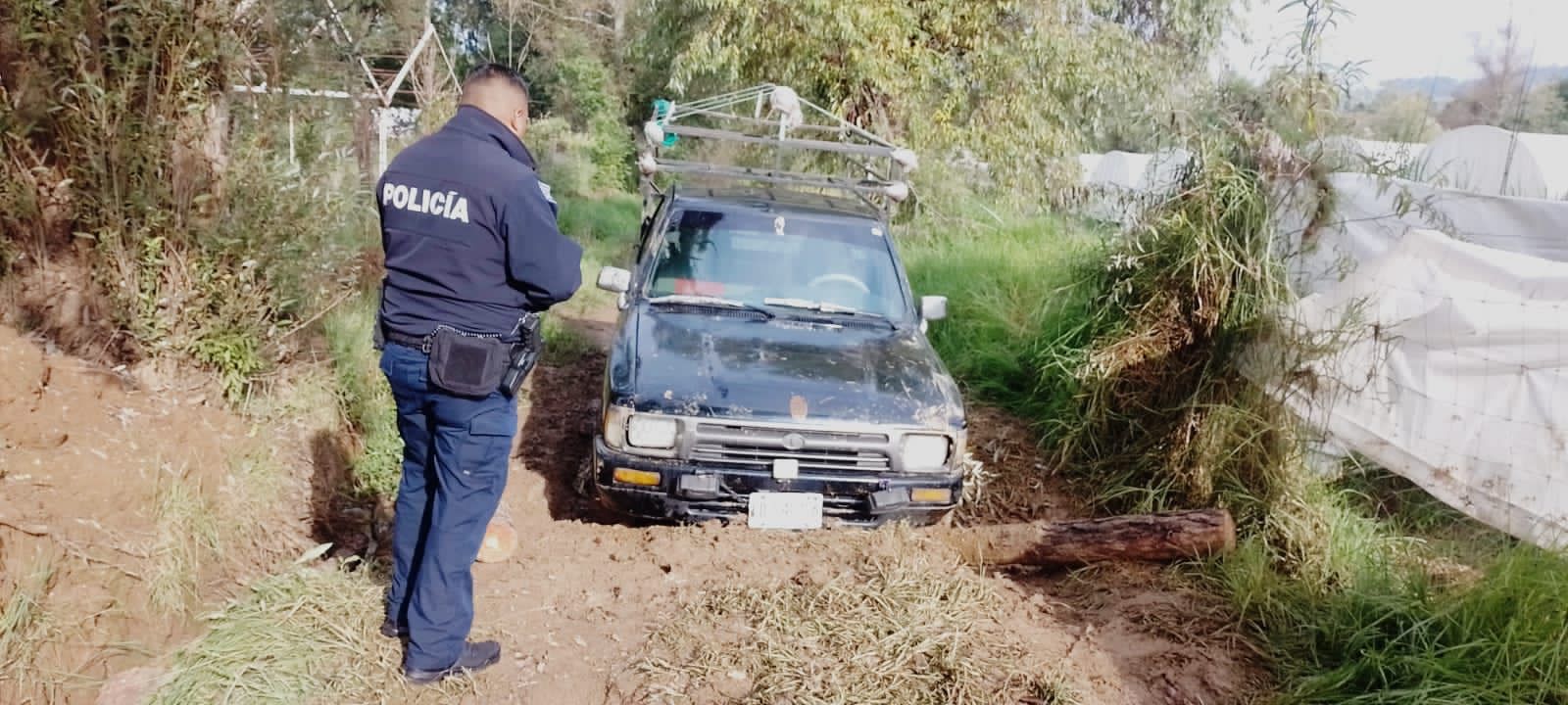 SSP decomisa rollos de madera presuntamente procedentes de tala ilegal, en Zitácuaro