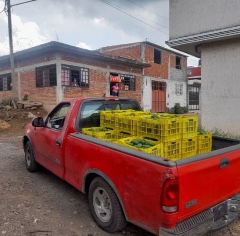 SSP decomisa cargamento de aguacate presuntamente ilícito, en Uruapan.
