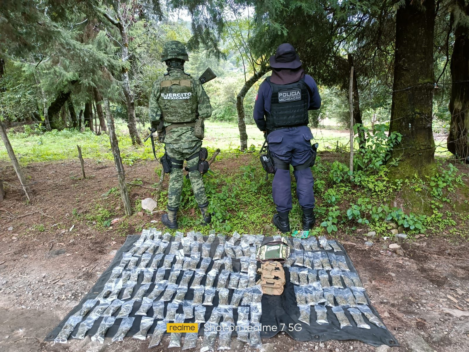 En operativo en Zitácuaro, SSP y Sedena aseguran 123 envoltorios de marihuana