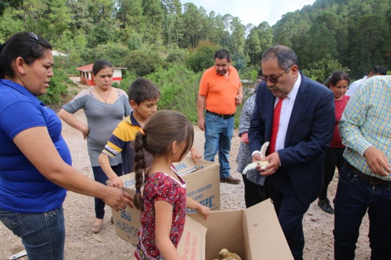En Agostitlán, José Luis Téllez visitó la localidad de Joyitas donde entregó   320 pollitos doble propósito