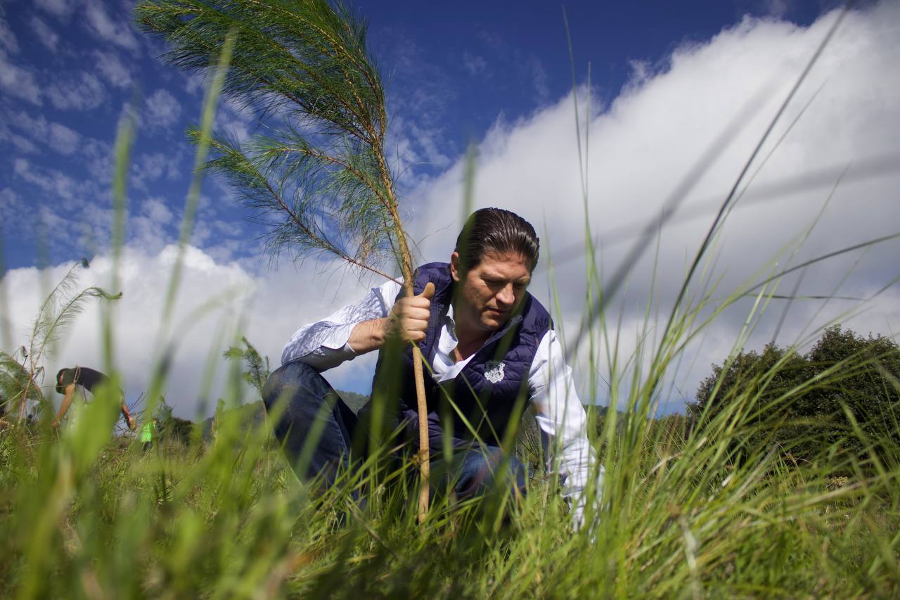 Alfonso Martínez, comprometido con el medio ambiente; triplica árboles reforestados en la Administración pasada