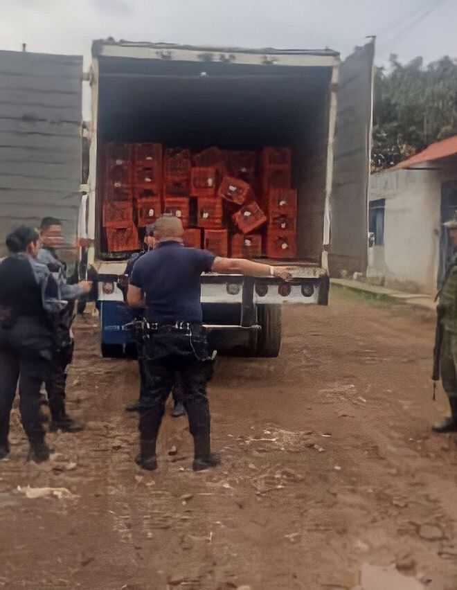SSP, Sedena y GN aseguran dos camiones robados con aguacate, en Uruapan.