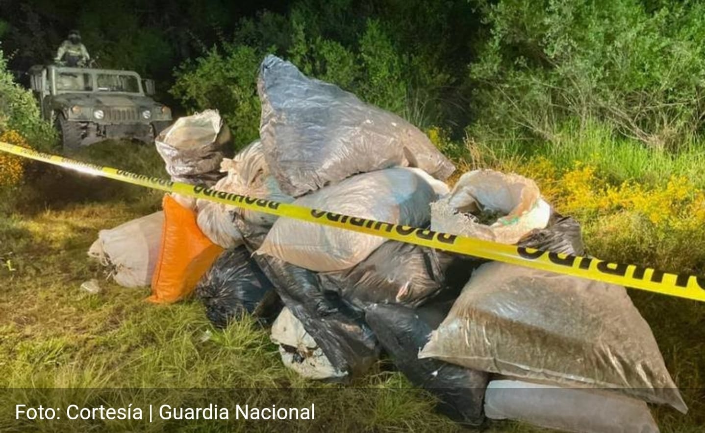 Guardia Nacional y Ejército Mexicano localizan costales con marihuana en Ciudad Hidalgo