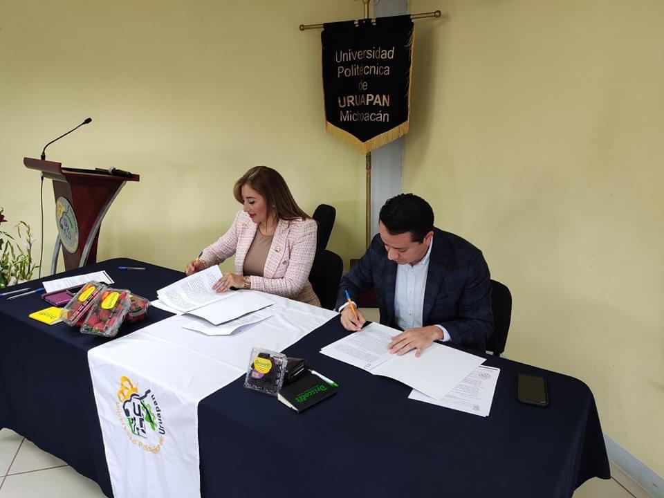 Universidad Politécnica de Uruapan y Driscoll’s firman convenio.