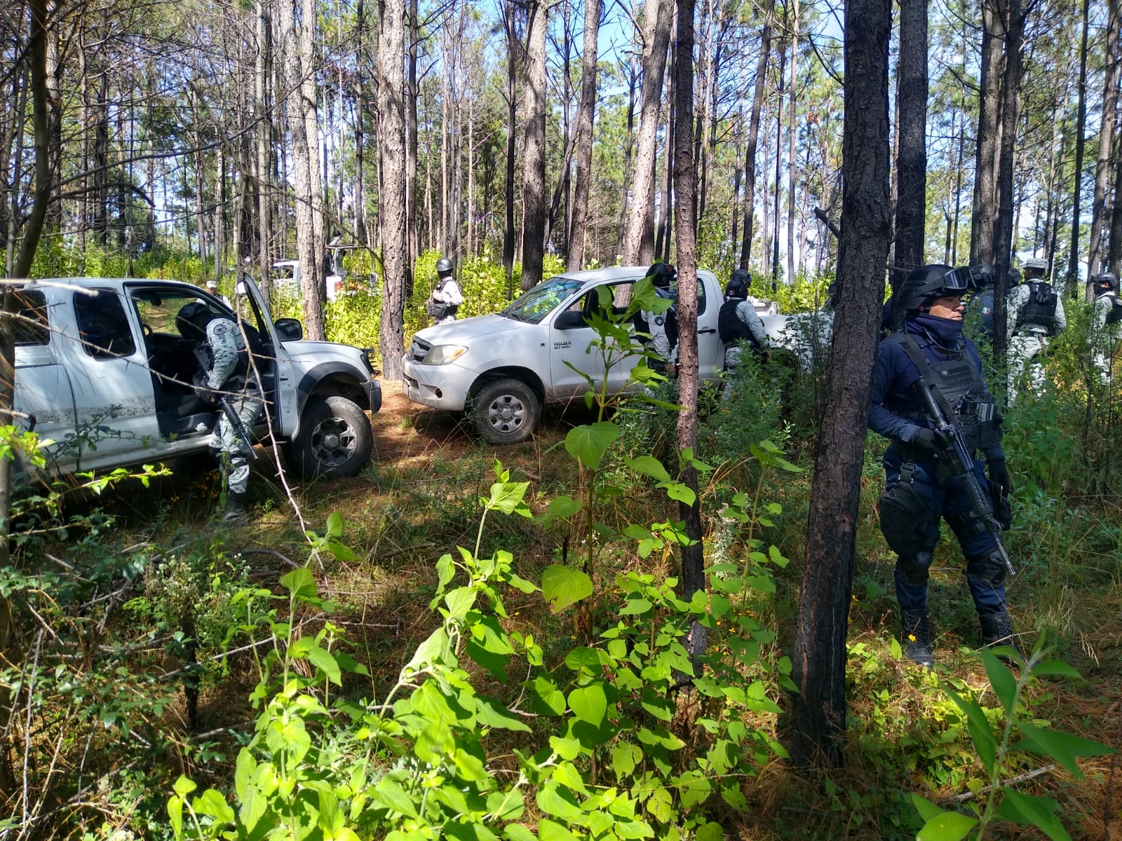 Durante operativo en Hidalgo, Guardia Civil asegura dos vehículos y arma larga.