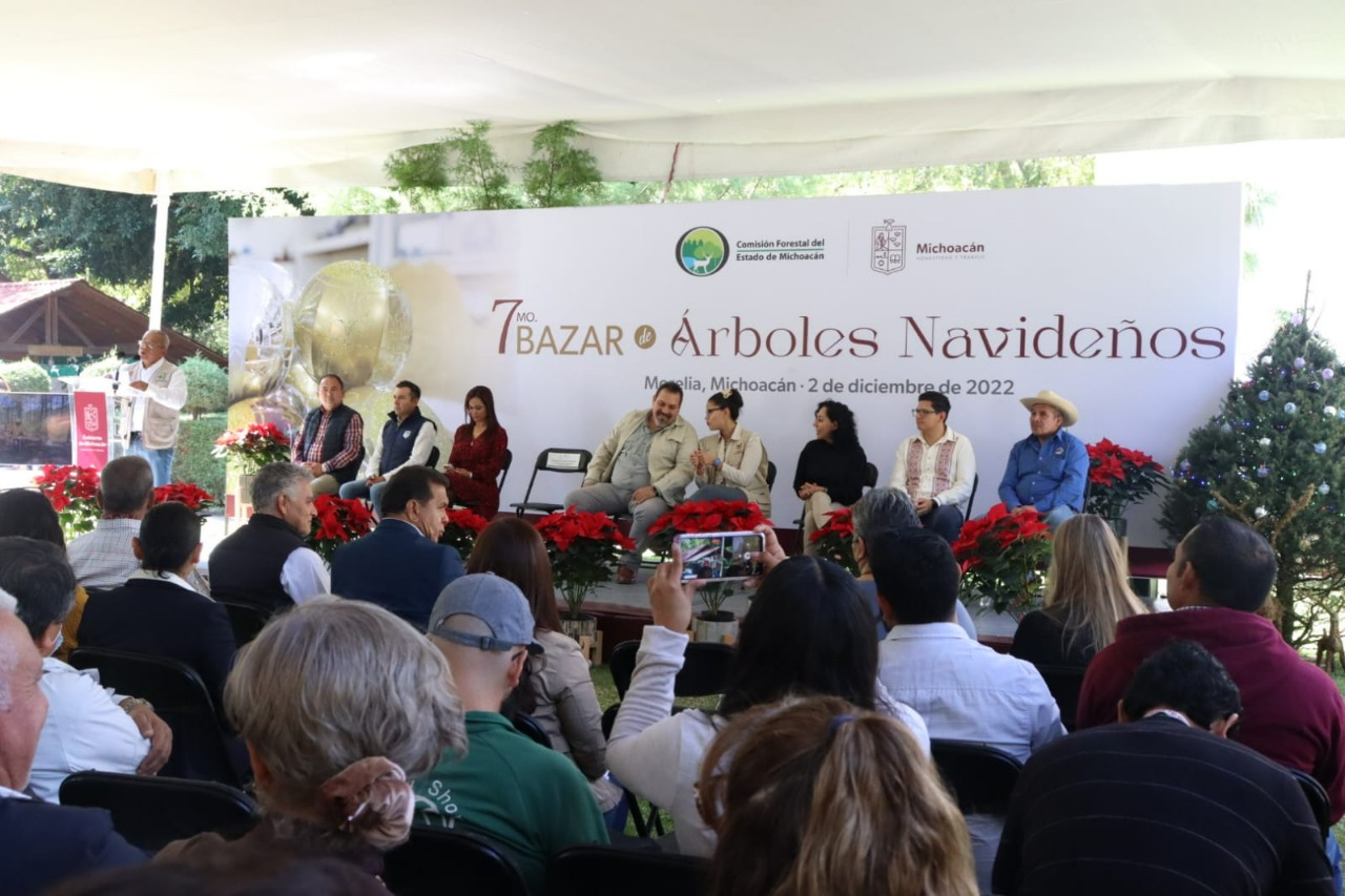 Este fin de semana, Séptimo Bazar de Árboles Navideños