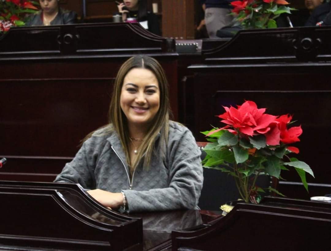 Congreso debe tener calidad moral para vigilar el ejercicio de recursos en otros poderes: Mónica Valdez