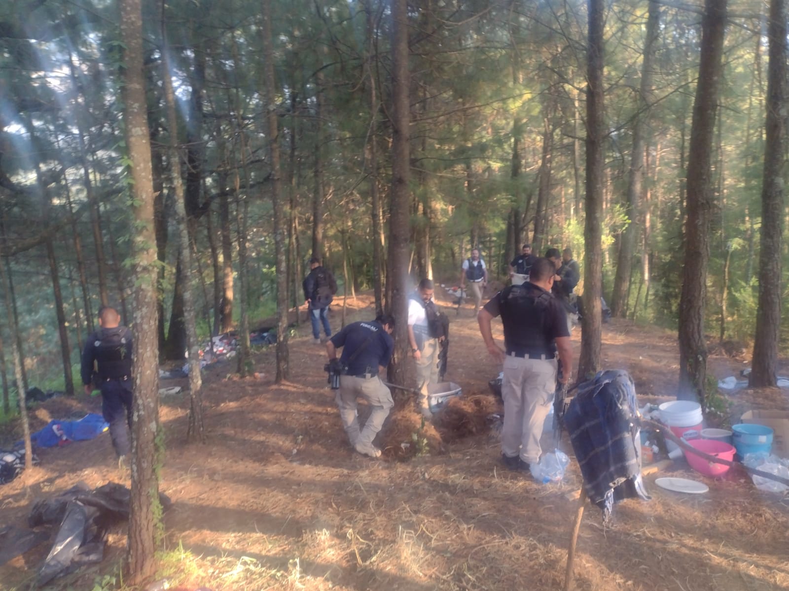 Guardia Civil y FGE desmantelan presunto campamento ilícito, en Ocampo