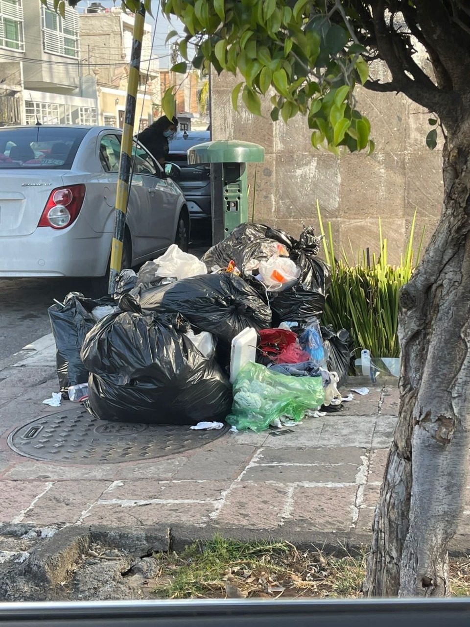 Emite Gobierno Municipal consejos para disminuir generación de basura