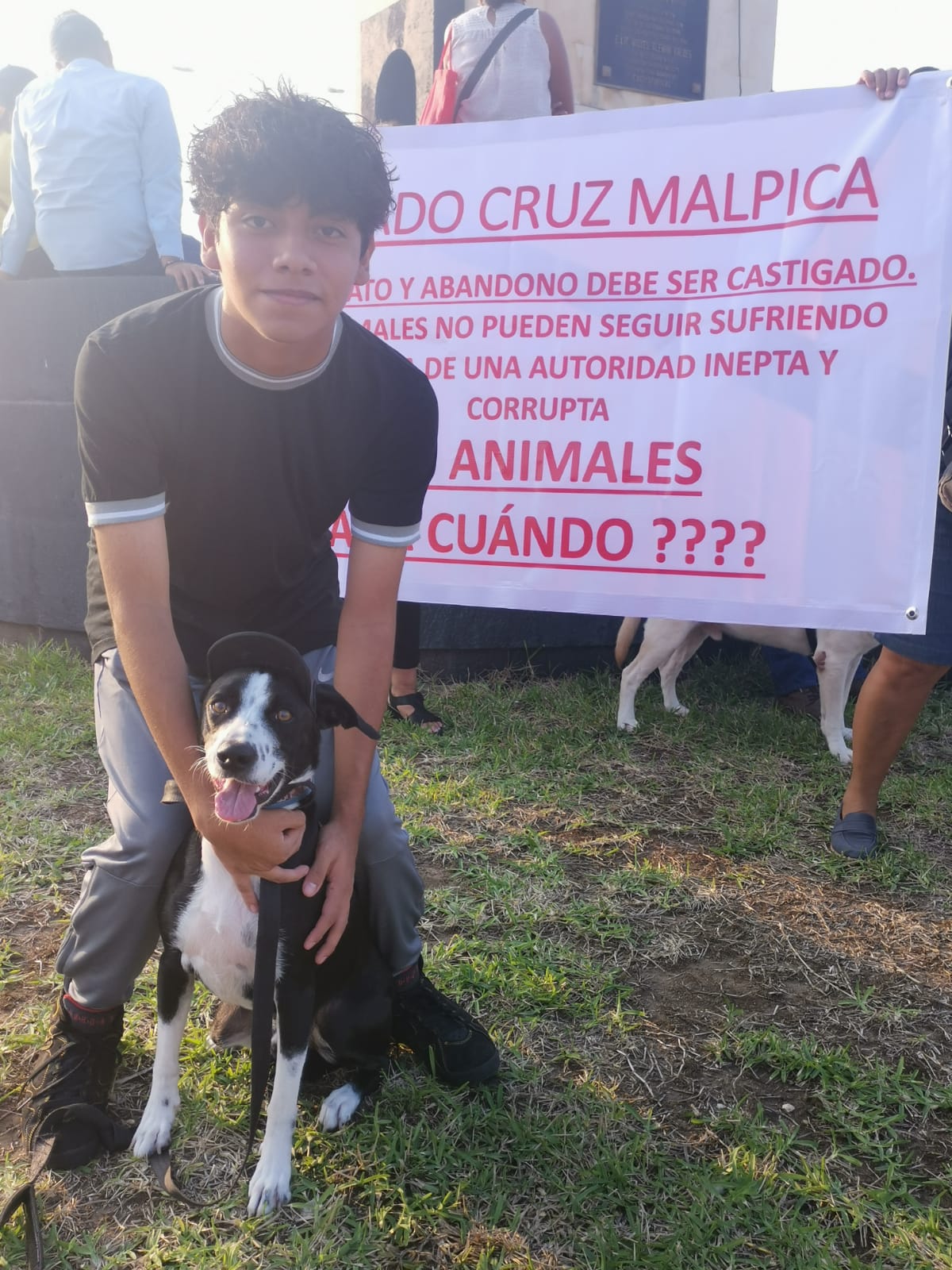 #Veracruz Animalistas denuncian corrupción en Gobierno de #Coatzacoalcos