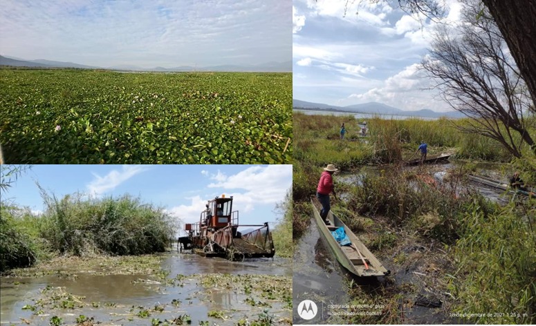 Recibe UIIM recursos Conacyt para laboratorio de análisis socioecológico.