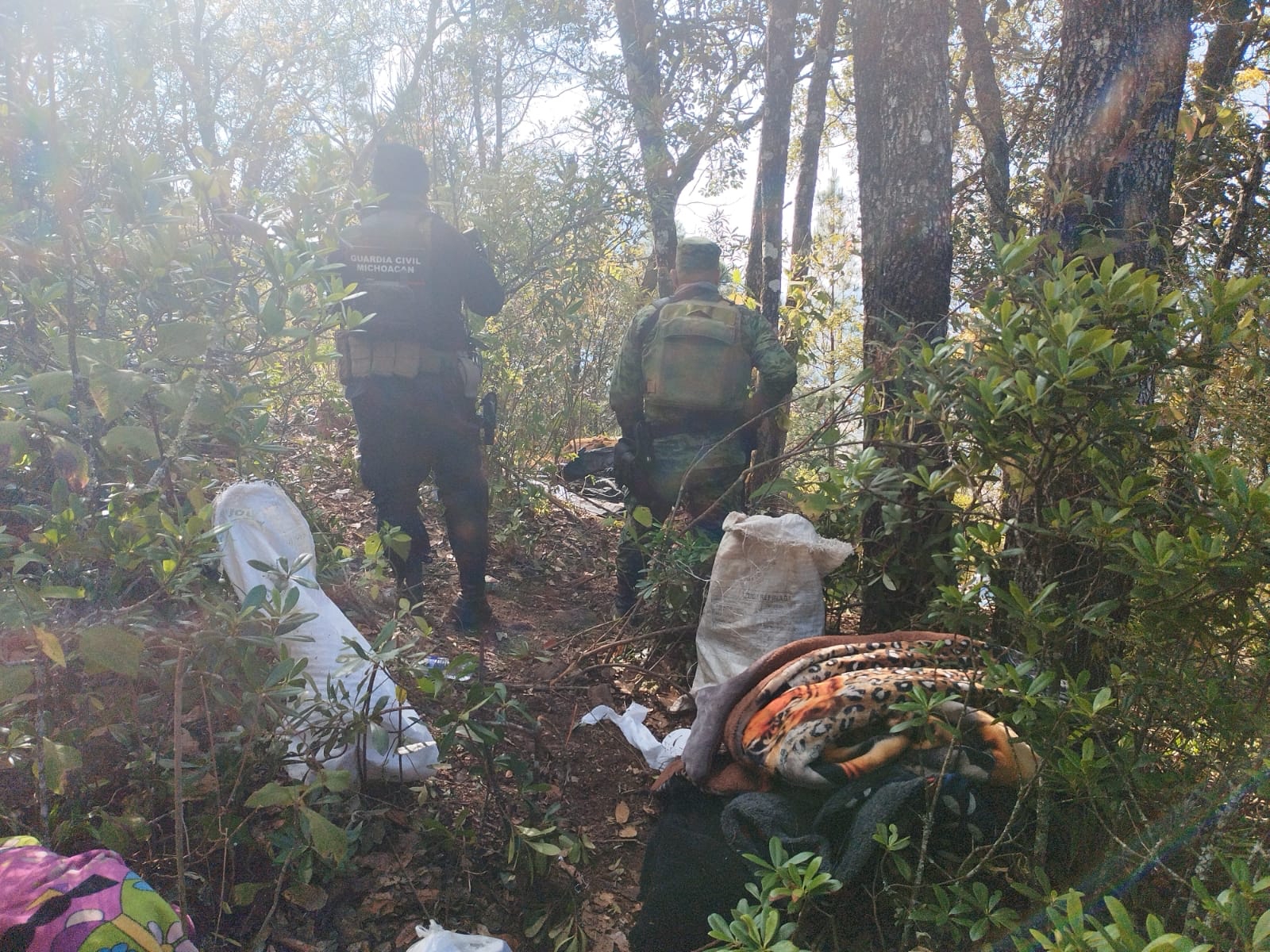 SSP y Sedena desmantelan campamentos clandestinos, en Ocampo