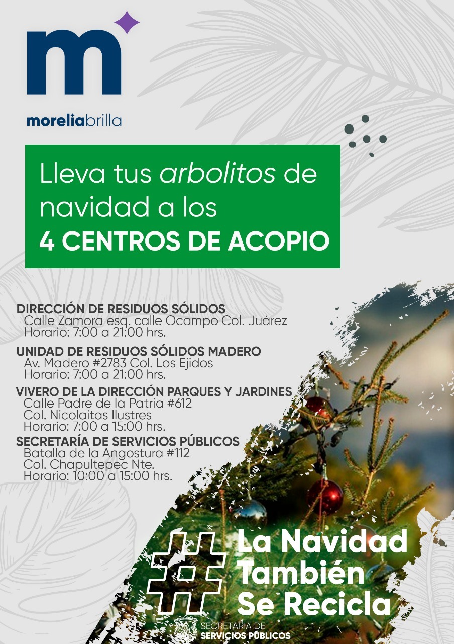 Inicia campaña “La Navidad también se recicla”; se recibirán pinos naturales para composta