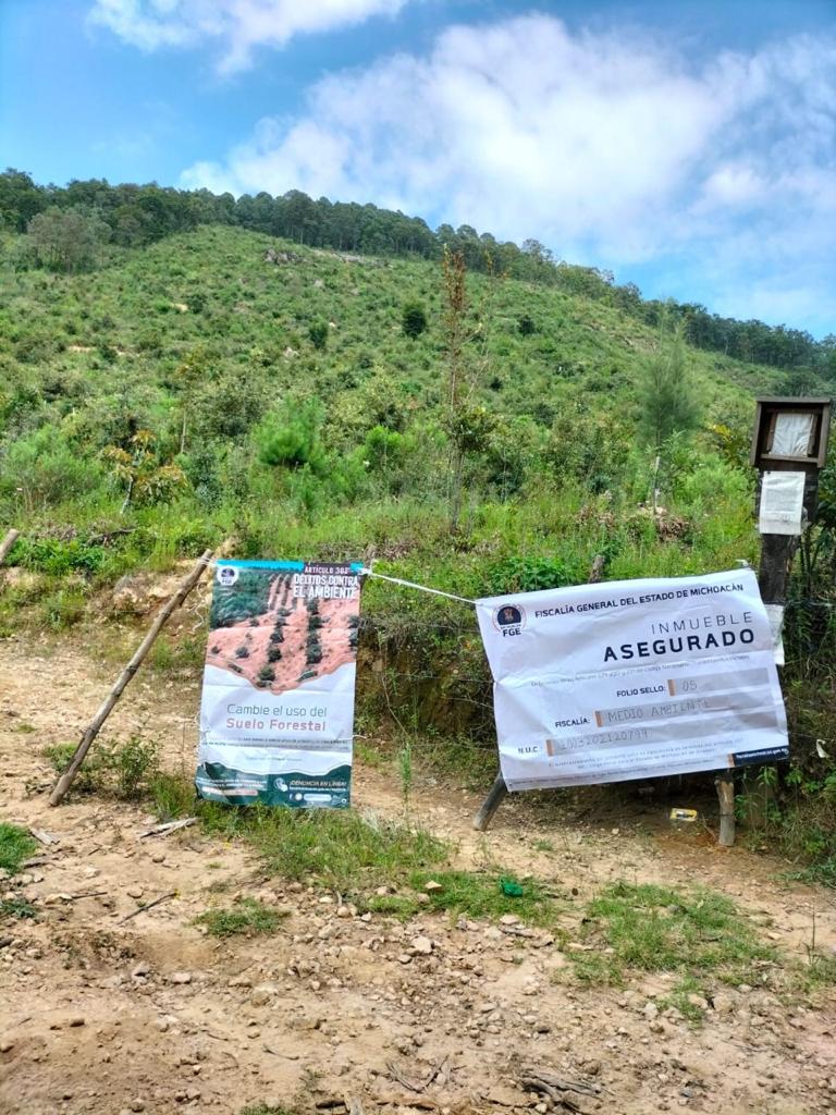 Con acciones firmes y contundentes, la FGE avanza en la investigación y persecución de delitos contra el ambiente