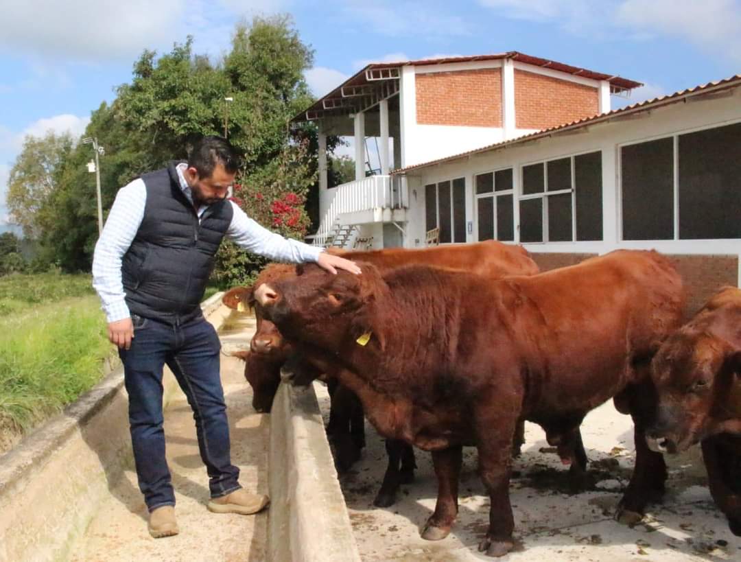 *SADERMA da seguimiento a Programa de Mejoramiento Genético en bovinos 2023