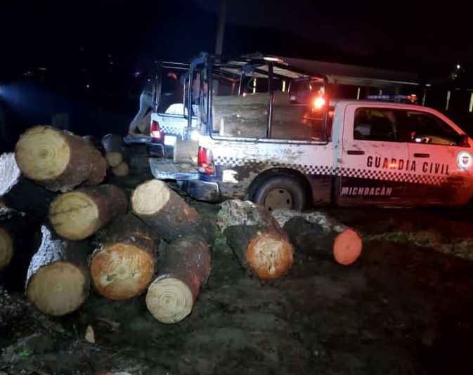 En Ocampo, GC asegura madera aparentemente ilegal