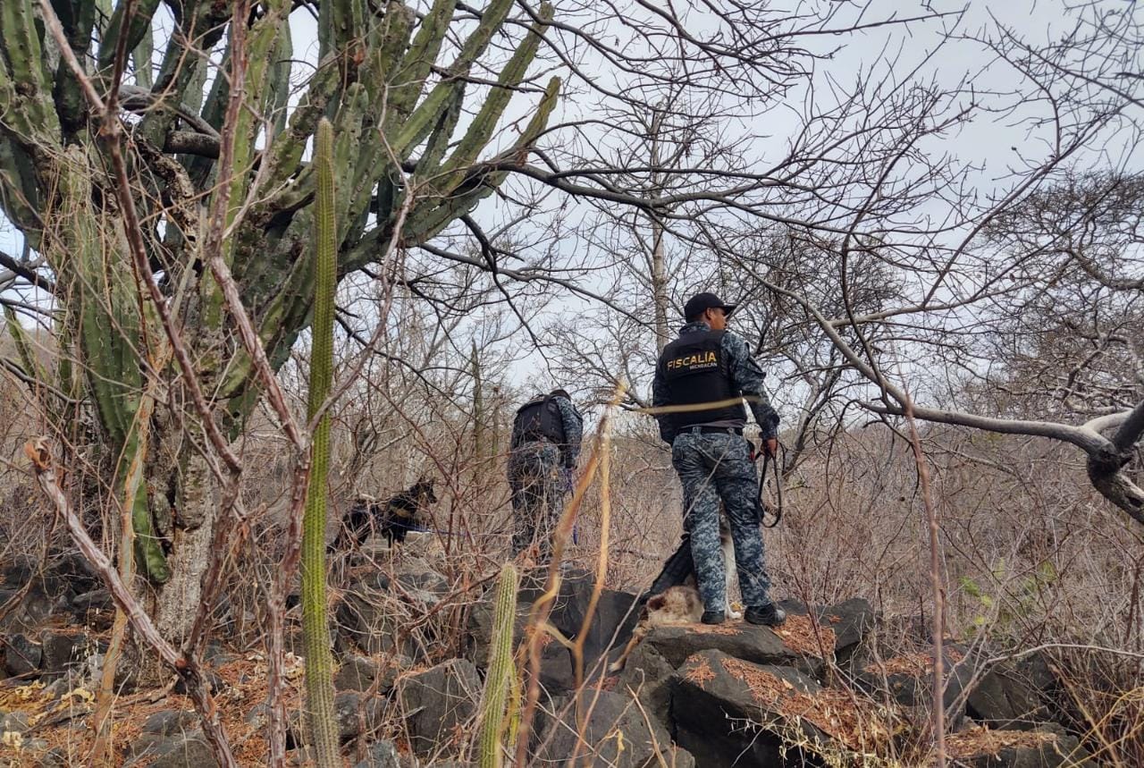 Intensifica FGE operativos simultáneos para la búsqueda de personas en las regiones de Coalcomán, Apatzingán, Hidalgo y Zinapécuaro
