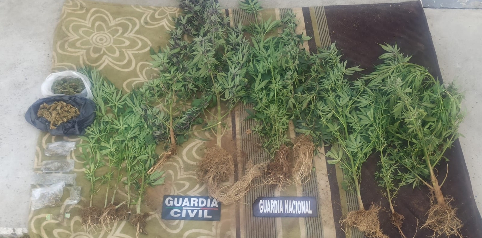 SSP y GN detienen a 3 hombres en posesión de varias unidades de droga, en Uruapan