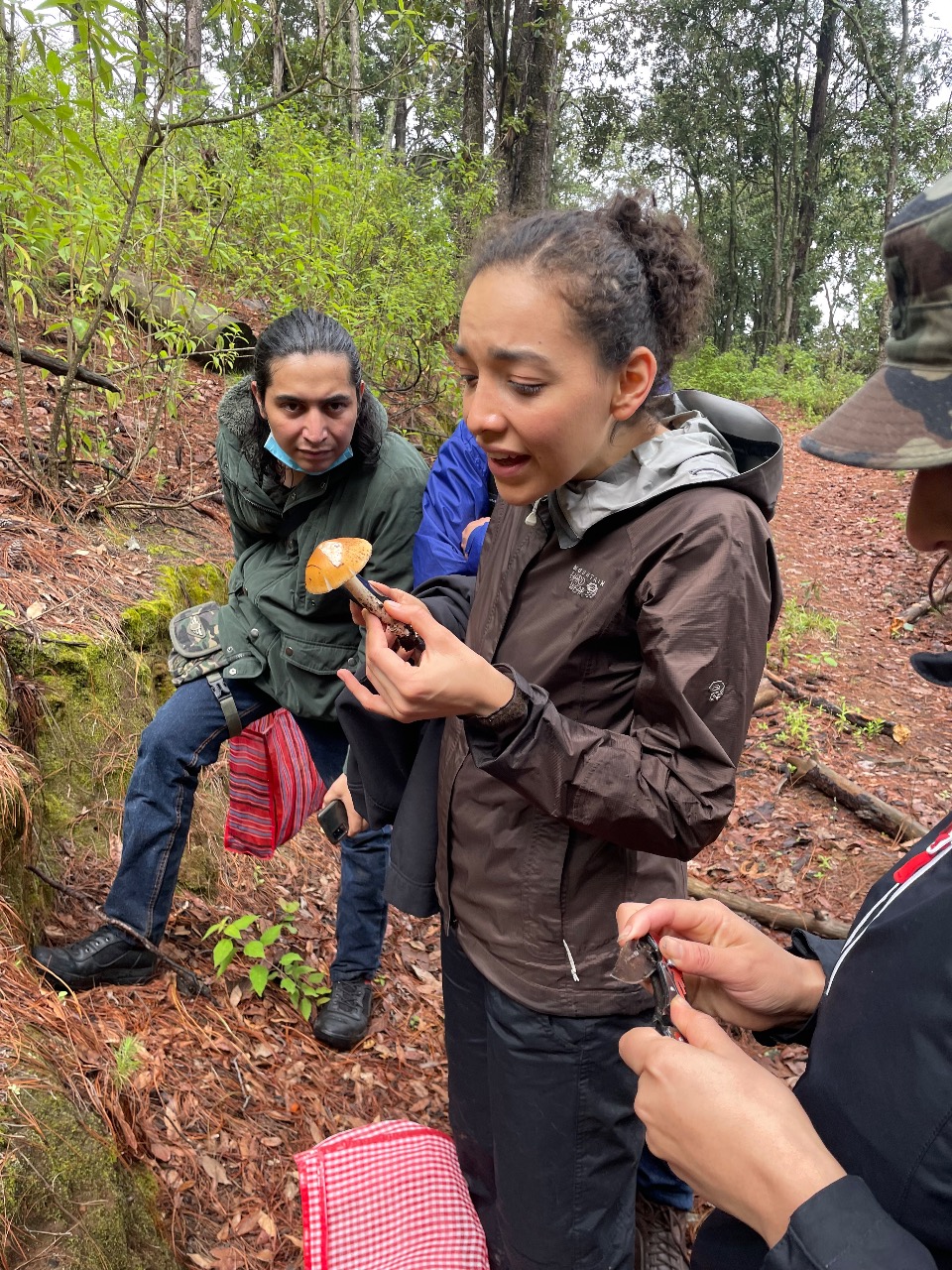 Preparan diplomado en educación ambiental y sustentabilidad.