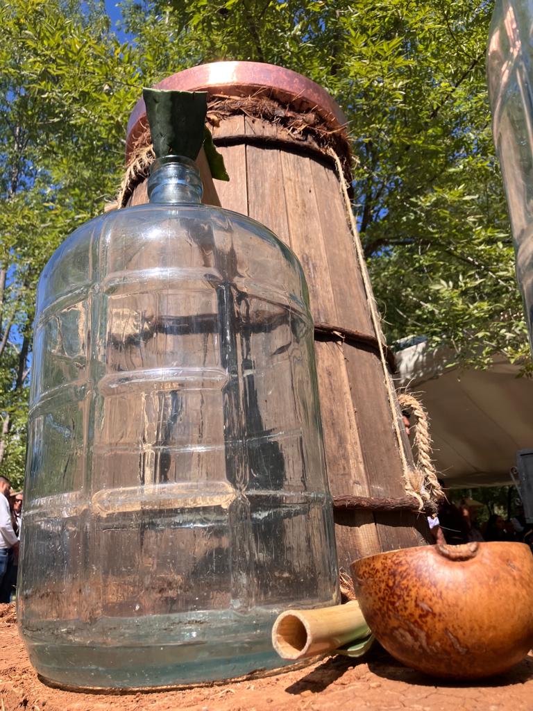 Gobierno de Michoacán impulsa la producción sustentable de mezcal.