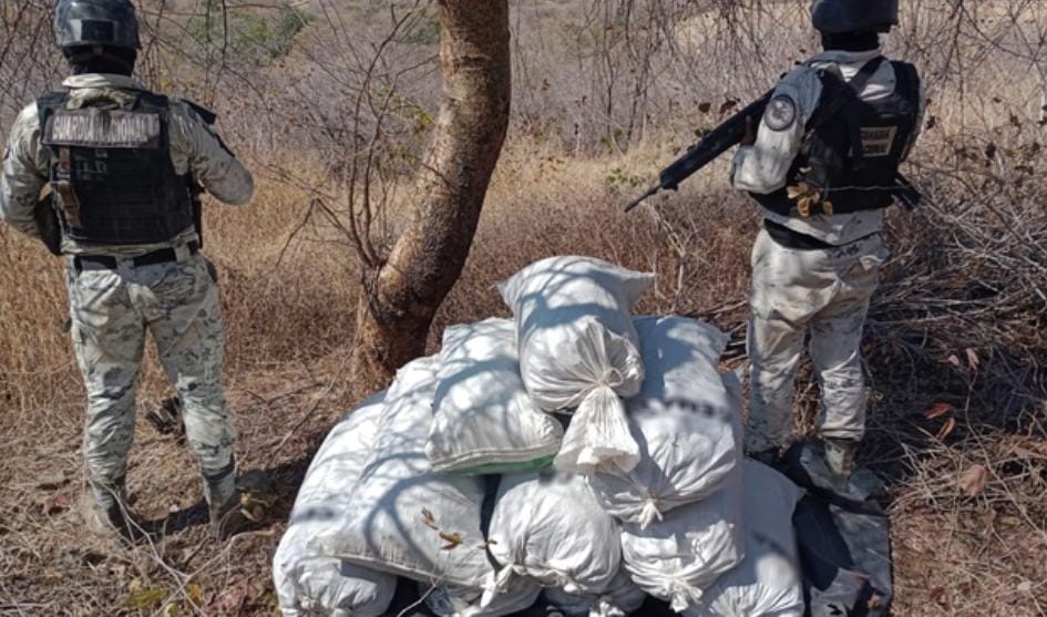 GN aseguró costales con marihuana ocultos en la maleza