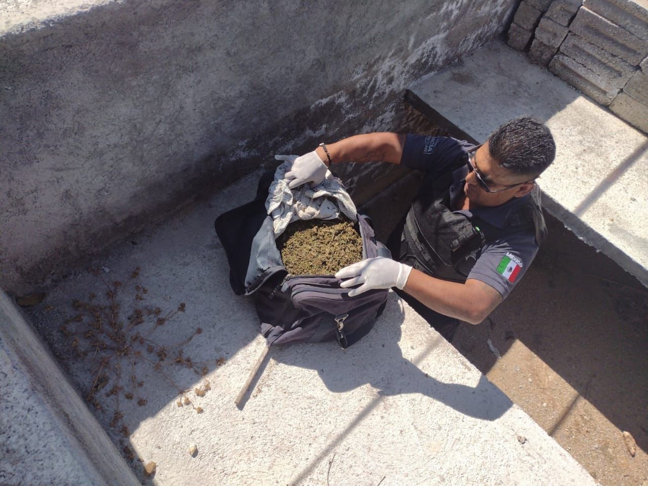 Guardia Civil localiza varios kilos de marihuana en panteón de Nocupétaro