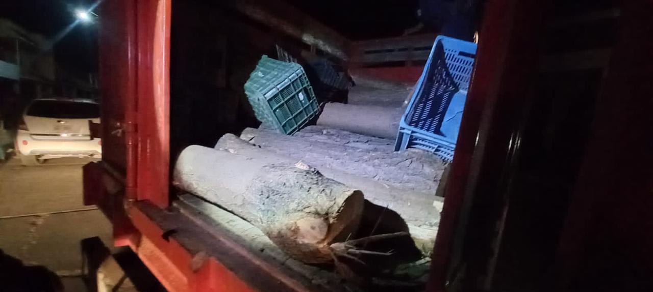 SSP asegura vehículo con madera presuntamente procedente de tala ilegal, en Zitácuaro